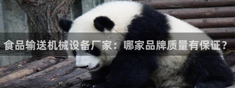 九游会官网页