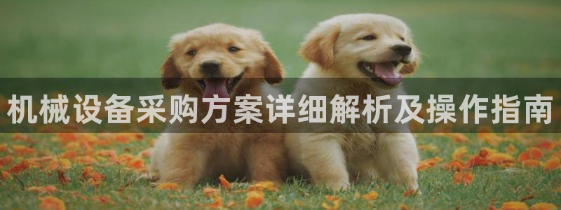 九游会怎么了