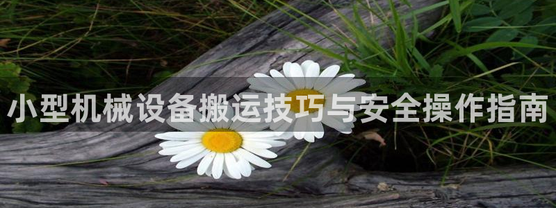 九游会老哥俱乐部论坛版