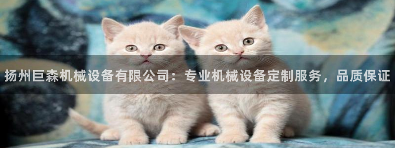 j9九游会平台