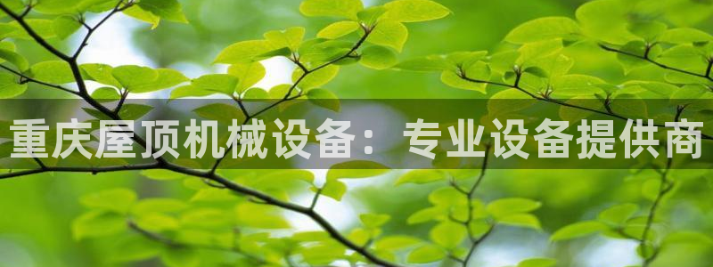 九游会ag官方网站