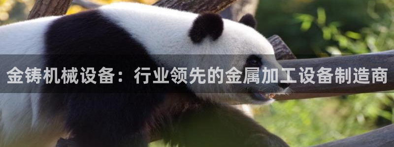 j9九游会官方网站国际怎么样