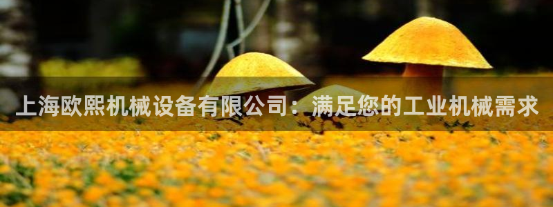 J9九游会官方平台