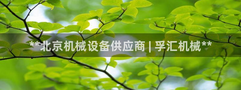 j9九游会真人游戏第一