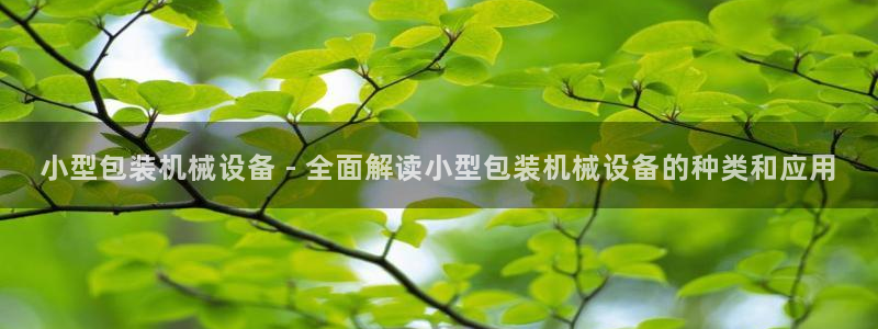 ag九游会论坛