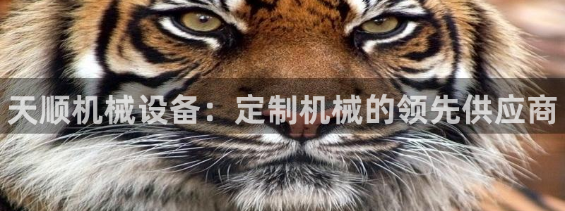 九游会网址是什么