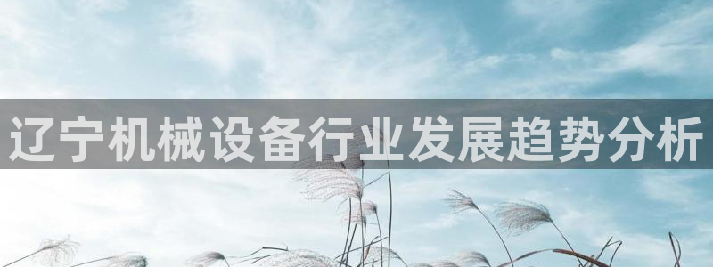 九游会官网下载不了吗