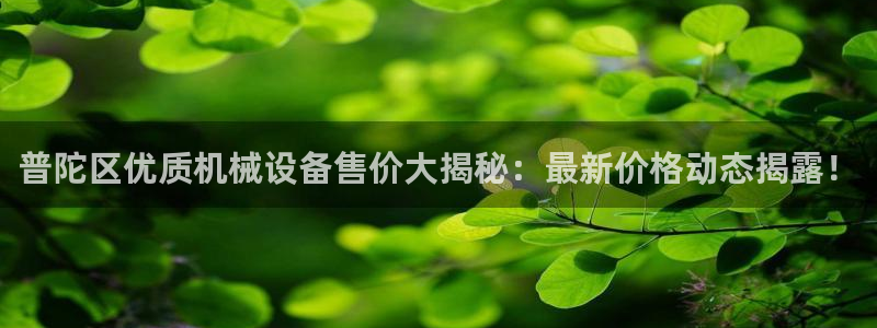九游会大家觉得怎么样