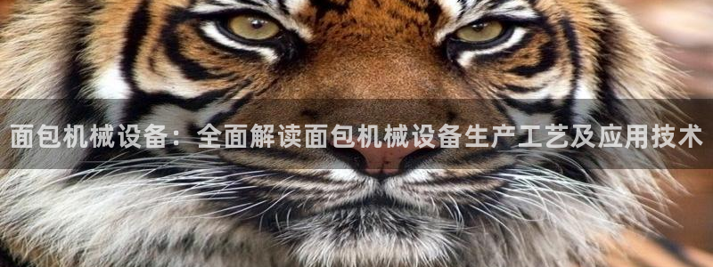 九游会官网ag旧版