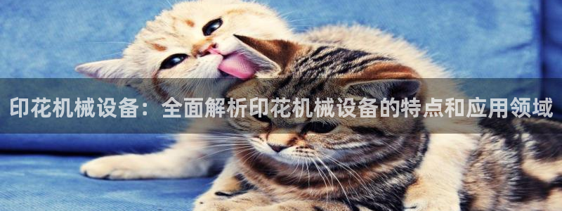 九游j9官网入口
