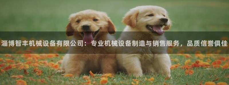 九游会首页登陆