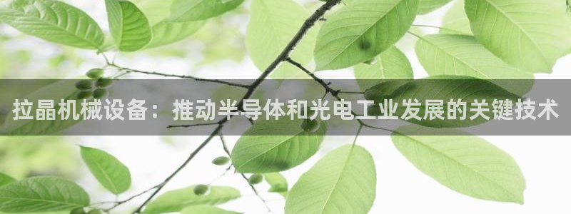 j9.cn
