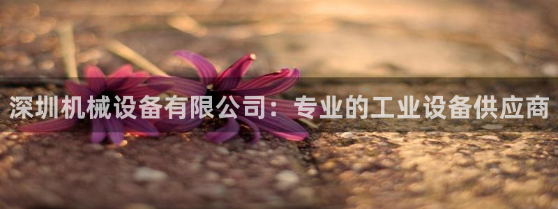 ag九游会官网网址