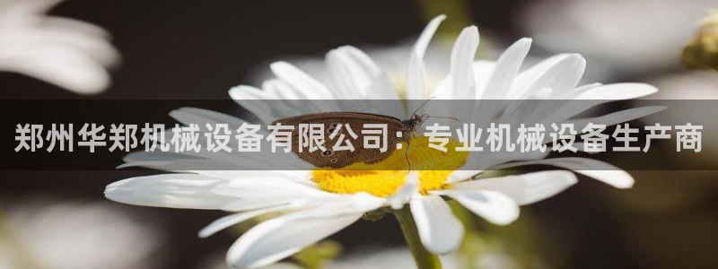 九游会官网ag旧版