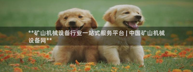 九游会集团新的选择