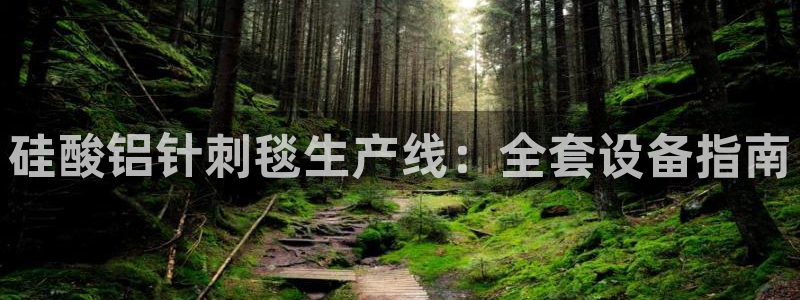 九游会官网ag旧版：