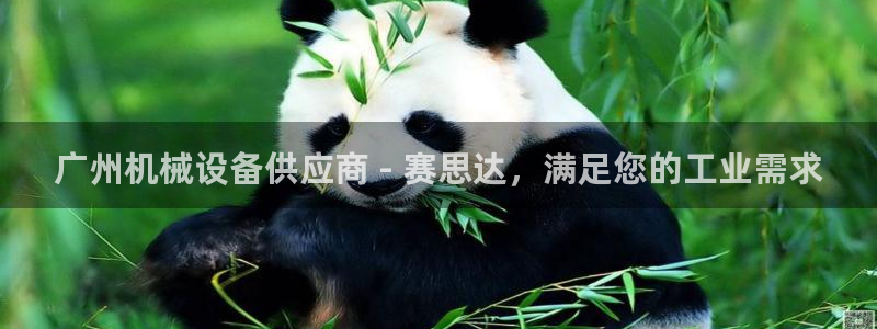 九游会是干嘛的