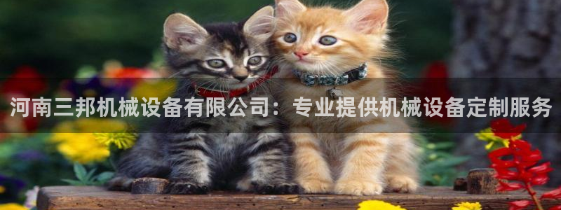 j9九游会官方网站