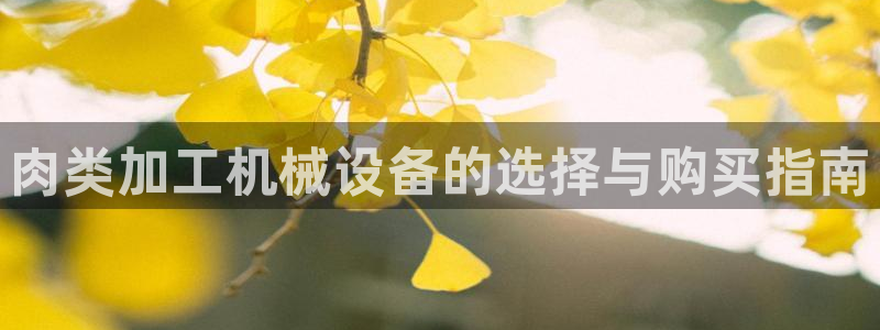j9九游会vip