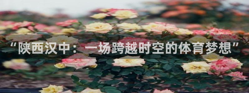 678体育官网