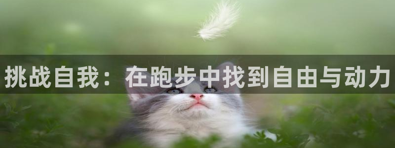 678体育