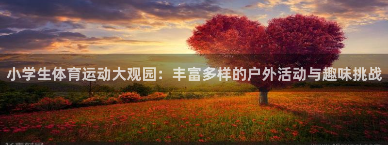 678体育