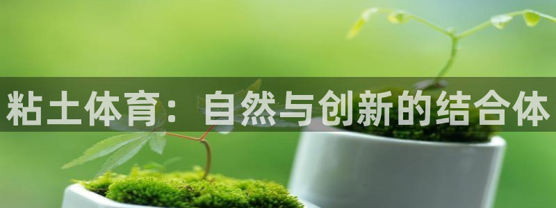678体育app
