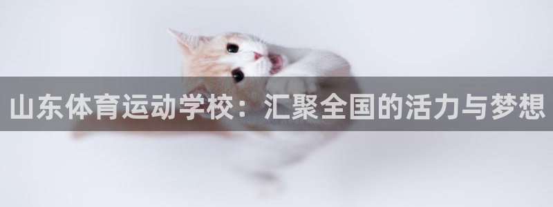 678体育官网地址