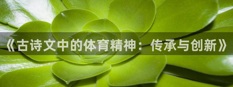 678体育官网