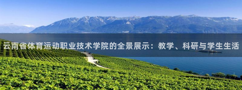 678体育官网地址