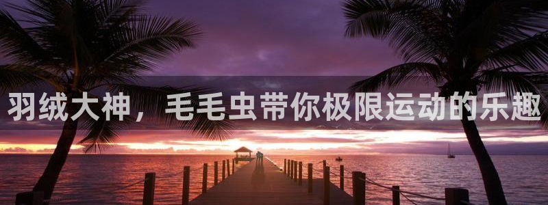 678体育官网下载