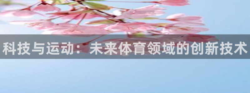 678体育app