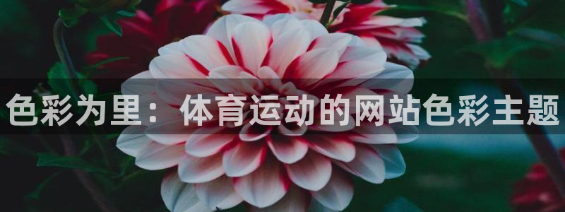 678体育官网地址