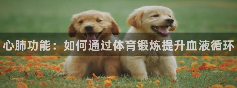 皇冠678体育
