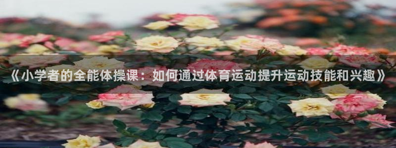 678体育官网