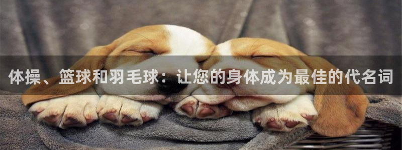 678体育官网