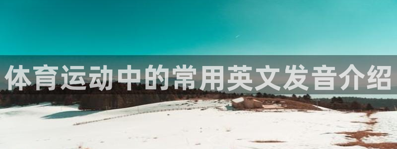678体育官网