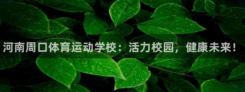 678体育官网