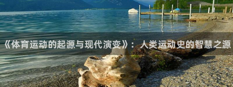 678体育官网下载