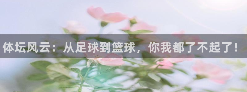 678体育app