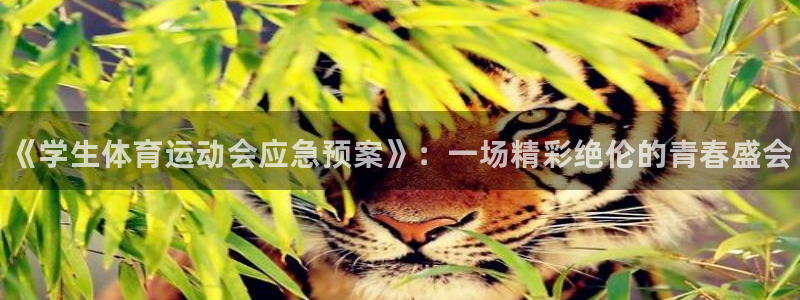 678体育app