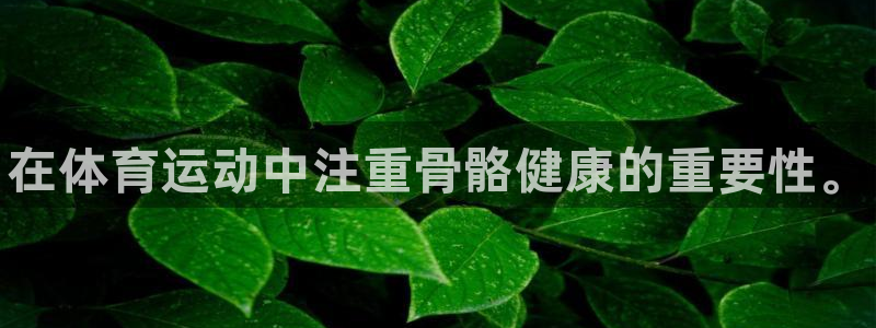 678体育官网下载