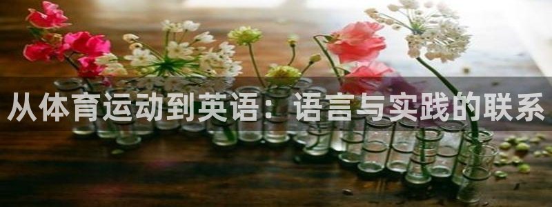 678体育