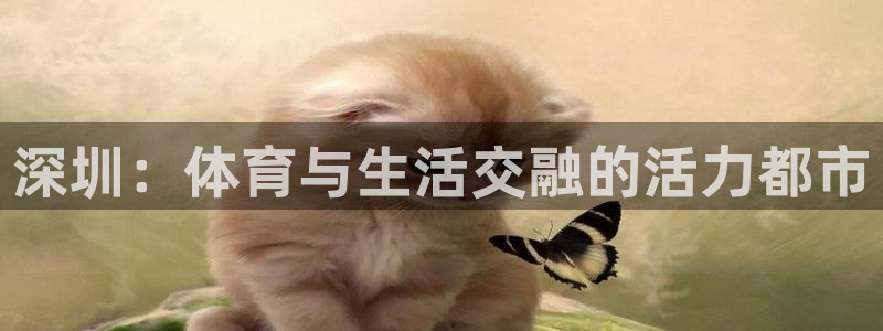 678体育app