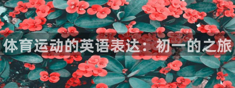 678体育