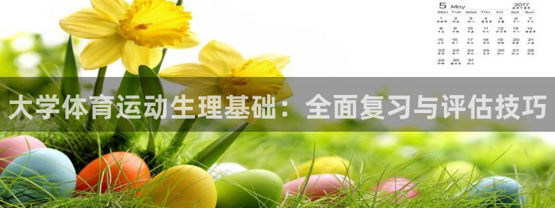 678体育官网