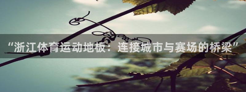 678体育app