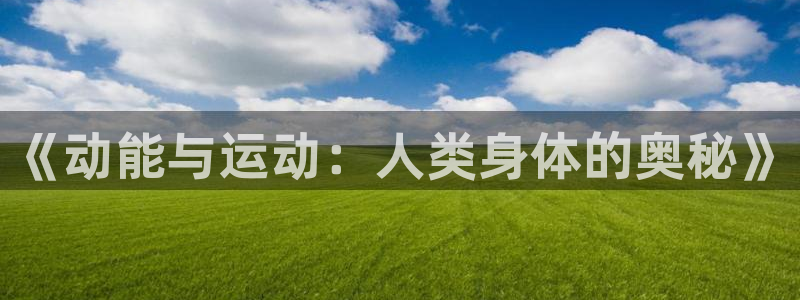 678体育官网下载