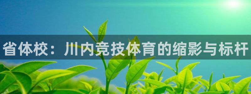678体育官网