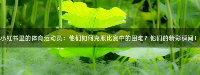 678体育官网下载